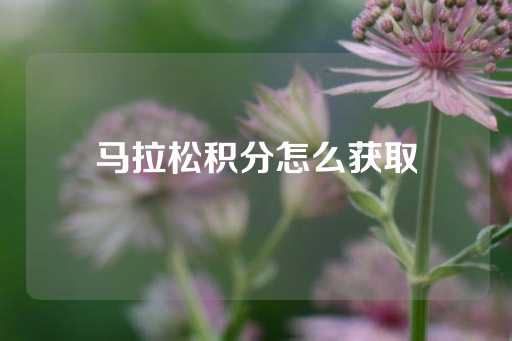 马拉松积分怎么获取