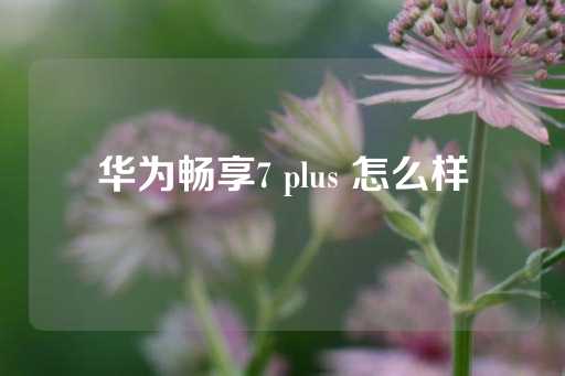 华为畅享7 plus 怎么样