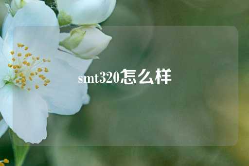 smt320怎么样